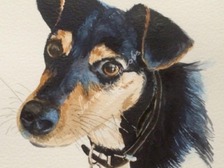 1 Dog &ndash; Lorraine Jacobs