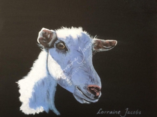 1 Goat &ndash; Lorraine Jacobs