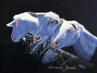 3 Goat &ndash; Lorraine Jacobs