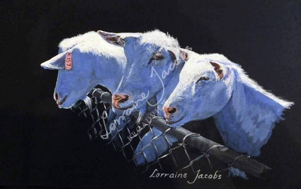 3 Goat &ndash; Lorraine Jacobs