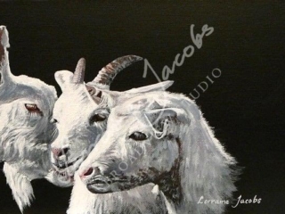 3 Goats &ndash; Lorraine Jacobs