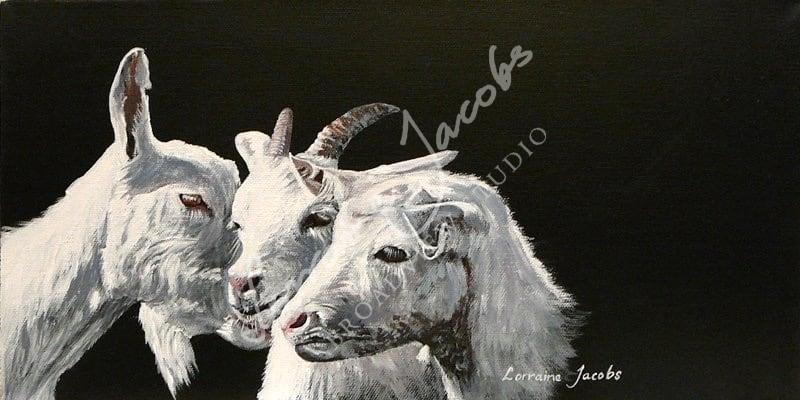 3 Goats &ndash; Lorraine Jacobs