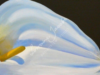 Arum Glory &ndash; Lorraine Jacobs
