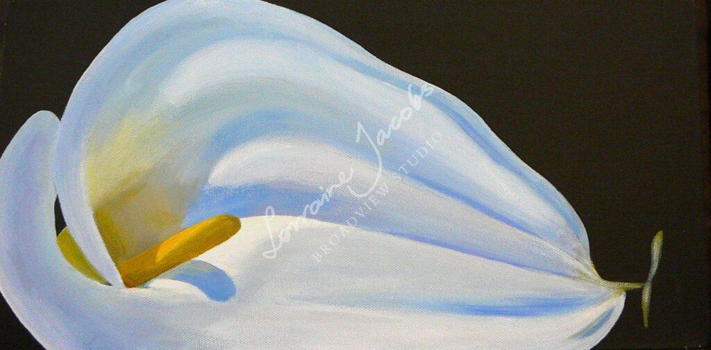 Arum Glory &ndash; Lorraine Jacobs