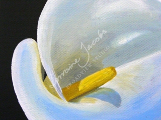 Calla Lily &ndash; Lorraine Jacobs