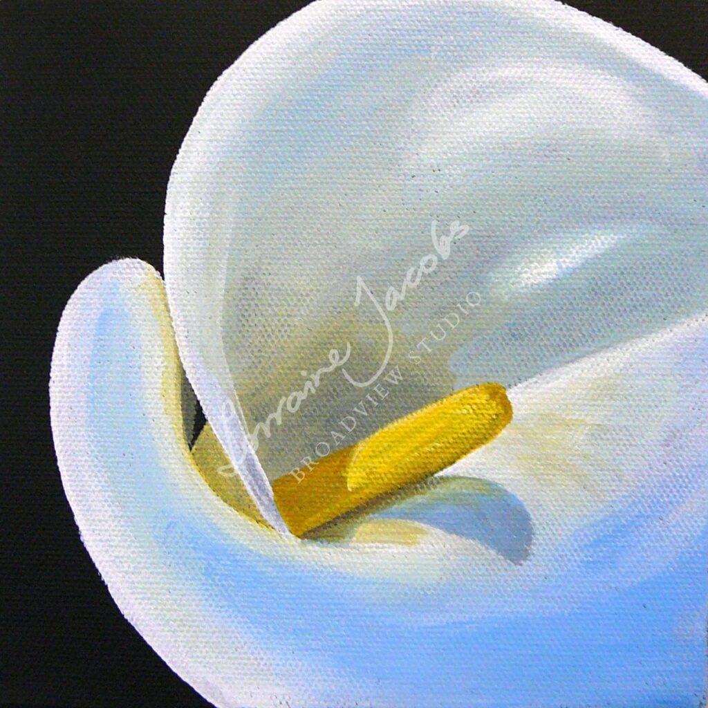 Calla Lily &ndash; Lorraine Jacobs