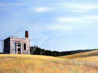 Derelict shed &ndash; Lorraine Jacobs