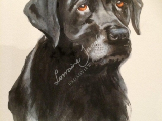 Dog &ndash; Lorraine Jacobs