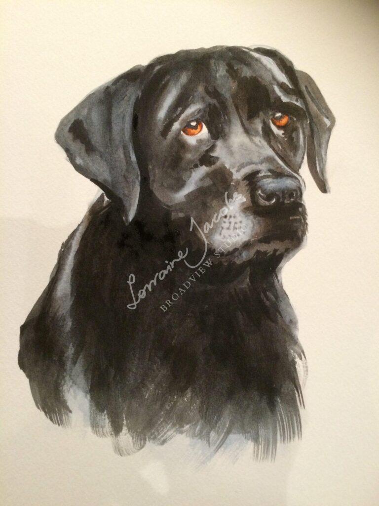 Dog &ndash; Lorraine Jacobs