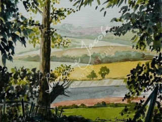 Fields &ndash; Lorraine Jacobs