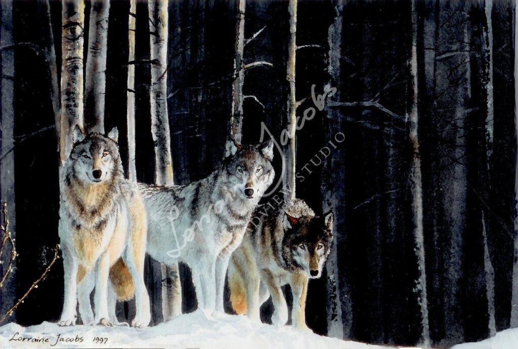 First Light &ndash; Lorraine Jacobs