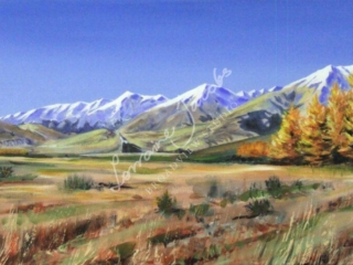 From Castle Hill &ndash; Lorraine Jacobs