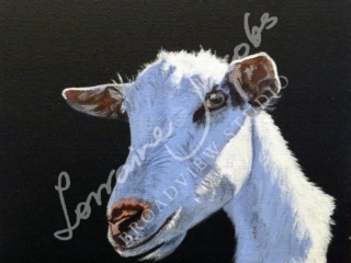 Goat &ndash; Lorraine Jacobs