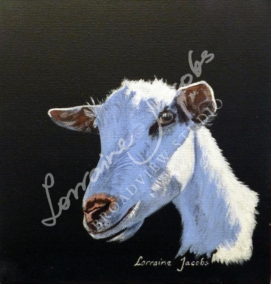 Goat &ndash; Lorraine Jacobs