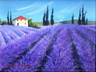 Lavender &ndash; Lorraine Jacobs