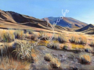 Light &ndash; Lorraine Jacobs