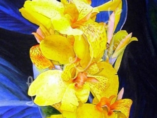 Orchids &ndash; Lorraine Jacobs