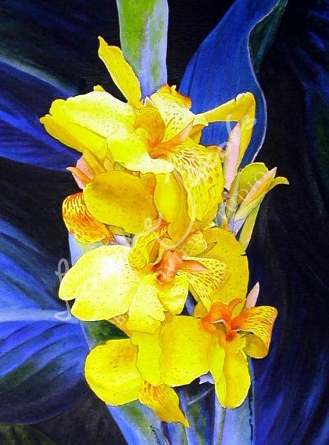 Orchids &ndash; Lorraine Jacobs