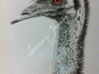 Ostrich &ndash; Lorraine Jacobs