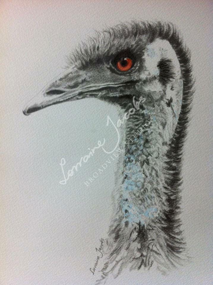 Ostrich &ndash; Lorraine Jacobs