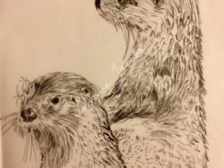 Otters &ndash; Lorraine Jacobs