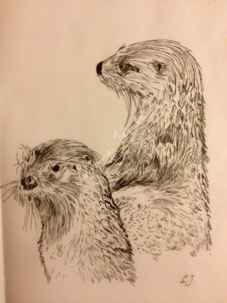 Otters &ndash; Lorraine Jacobs