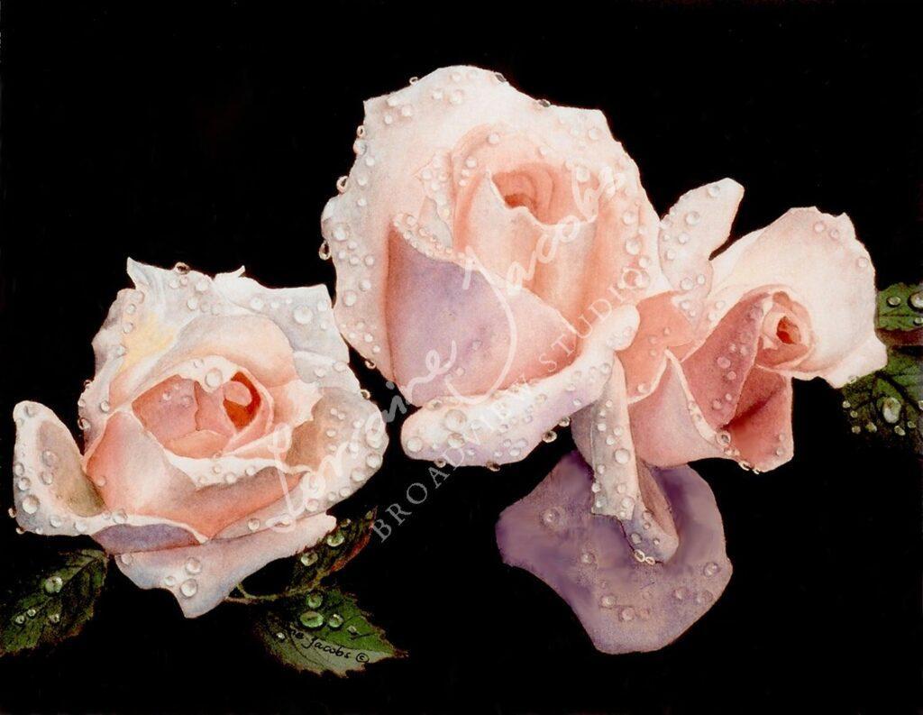 Pink Roses &ndash; Lorraine Jacobs