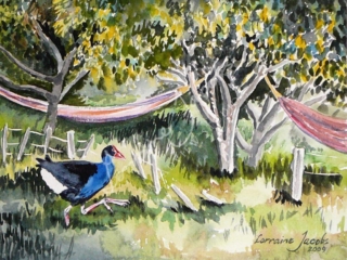 Pukeko &amp; Hammocks &ndash; Lorraine Jacobs
