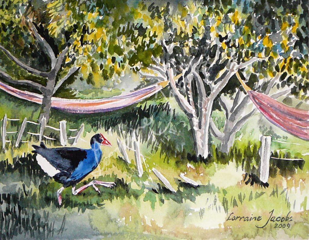 Pukeko &amp; Hammocks &ndash; Lorraine Jacobs