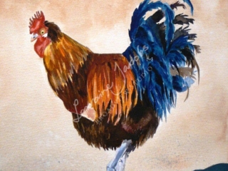 Rooster &ndash; Lorraine Jacobs