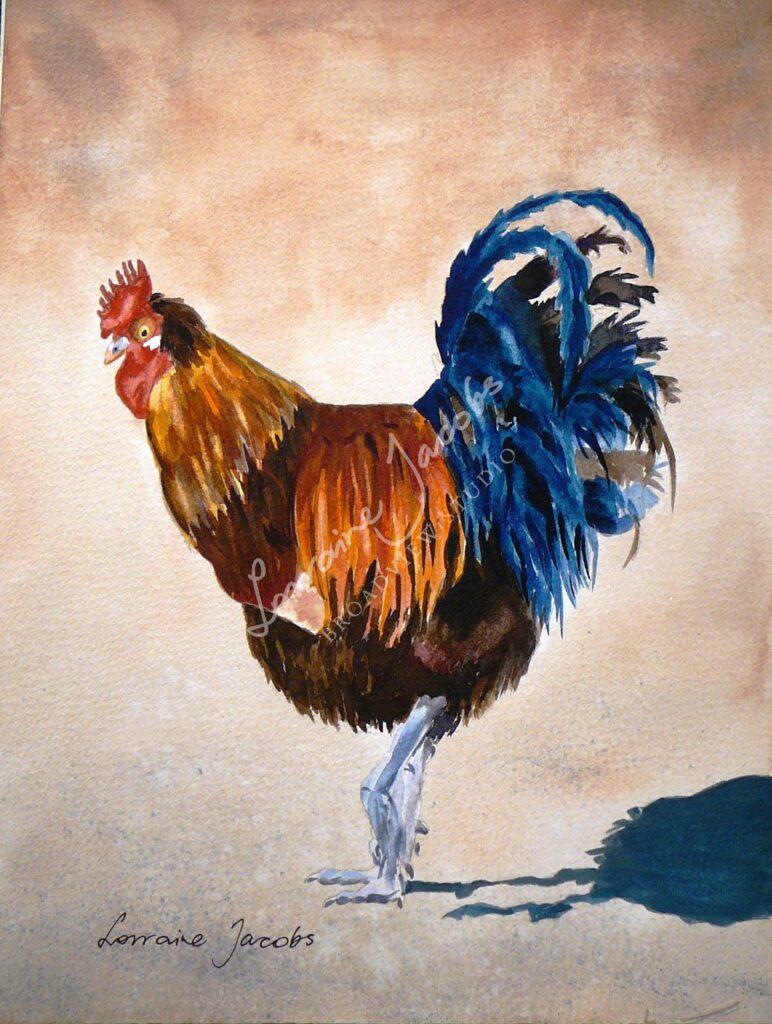 Rooster &ndash; Lorraine Jacobs