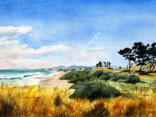 Round the Bay &ndash; Lorraine Jacobs