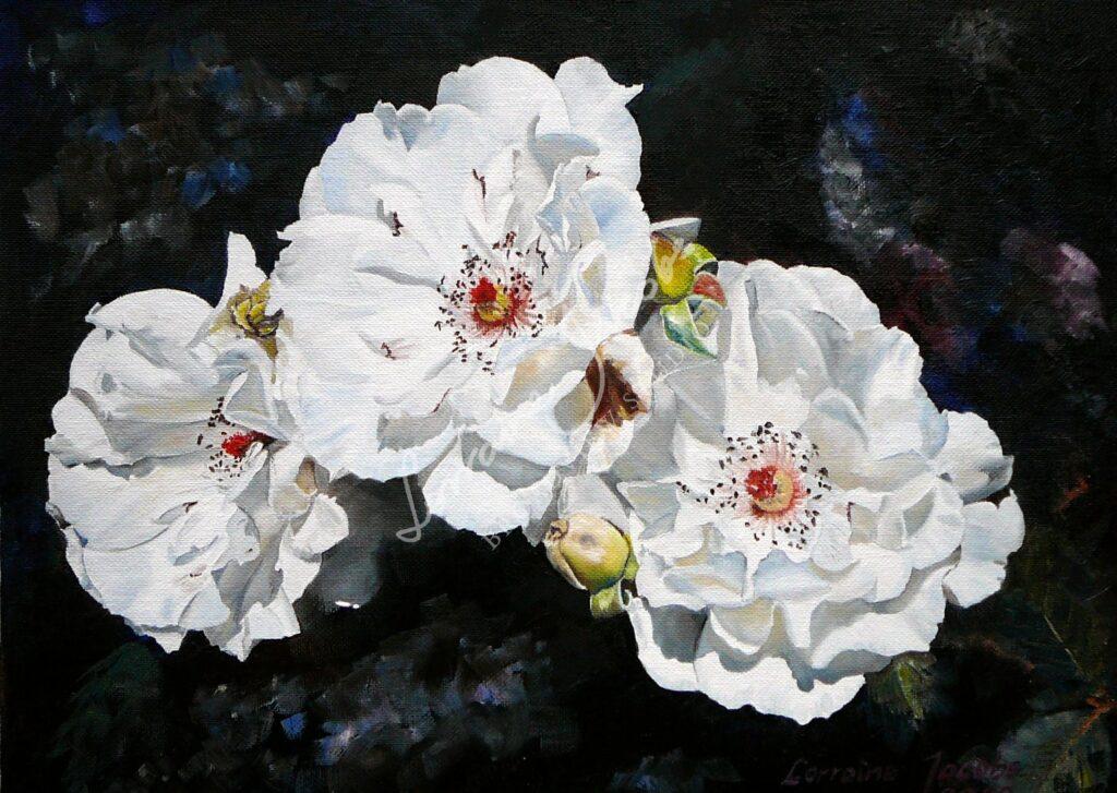 Summer Beauty (White Rose) &ndash; Lorraine Jacobs