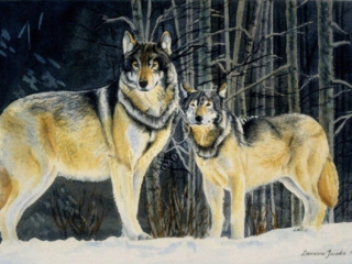 Two wolves &ndash; Lorraine Jacobs
