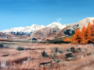 castle hill larches &ndash; Lorraine Jacobs